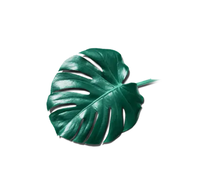 apzinātība un veselība